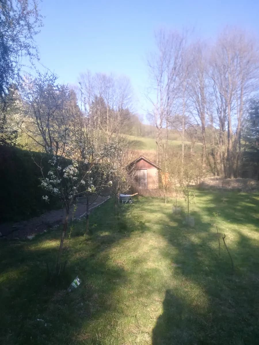 Grundstück kaufen in Wiener Neustadt Land – 919 m², € 59.767
