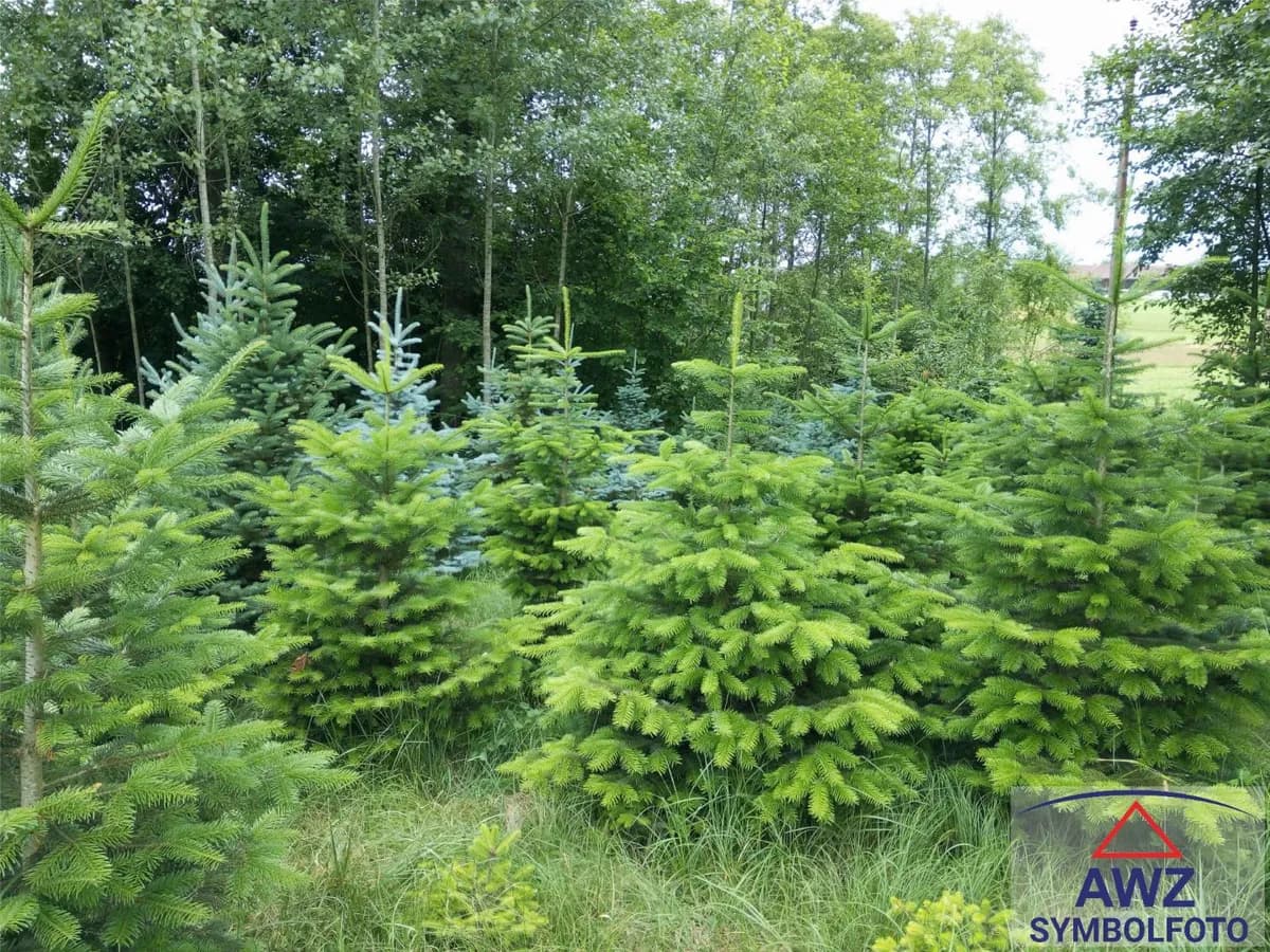 Grundstück kaufen in Vöcklabruck – 60 501 m²
